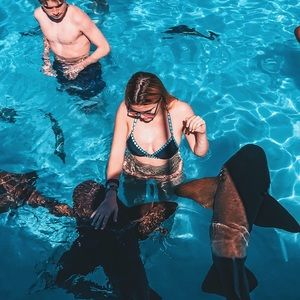 Meet your Posher, Grace